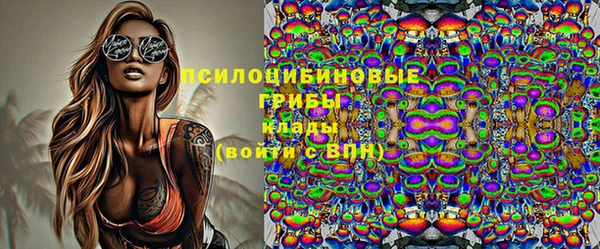 мдпв Богородск