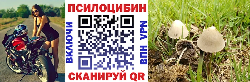Галлюциногенные грибы Cubensis  Юхнов 